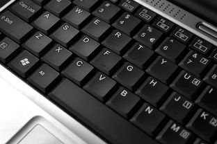 指尖上的互聯(lián)時(shí)代 鍵盤與筆記本電腦的線上購(gòu)物新篇章