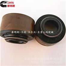 康明斯系列噴油器4955524與4955525 礦山設備專用機械密封的卓越選擇